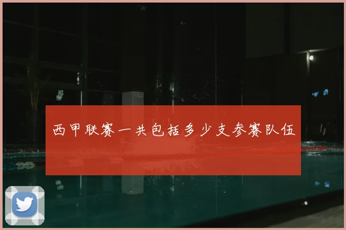 西甲联赛一共包括多少支参赛队伍