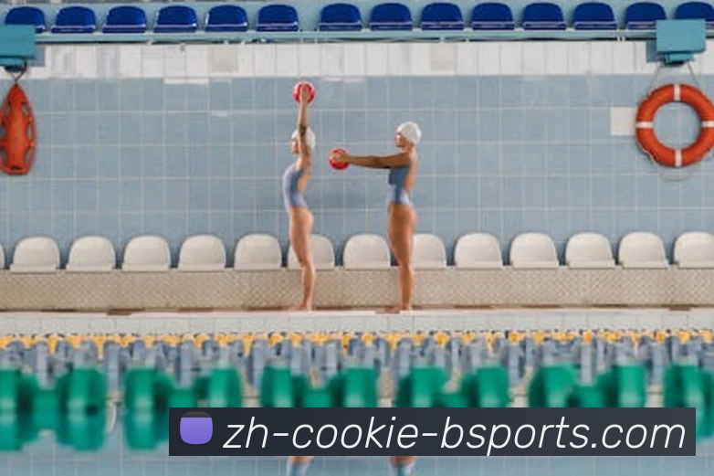 B体育平台生态图